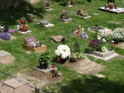 Friedhof_S8a B3